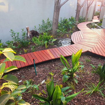 Bailey's Muckleneuk garden and pool make over