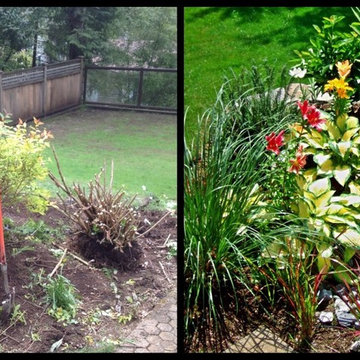 Before and After