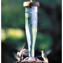 Outdoor Accents