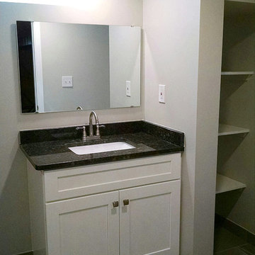 New Contemporary Basement Bathroom