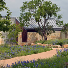 Mid century Garden