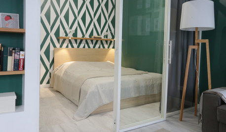 Russian Houzz Tour: How a Small Studio Apartment Gained a Bedroom
