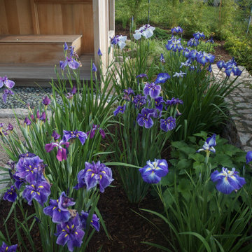 Create a meditation garden