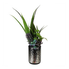 Planters