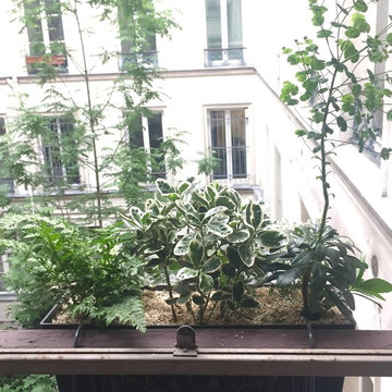 Un seul garde-corps ? ÔMonBalcon! le végétalise en 3 clics !