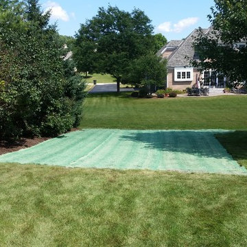 Removal of Backyard Playground, Grading, and Lawn Restoration - After