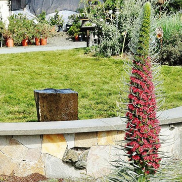 Mediterranean Los Osos Garden
