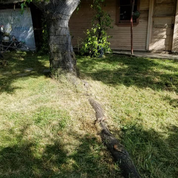 Kickoff Project Photos