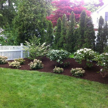 landscaping