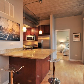 Sophisticated West Loop Loft