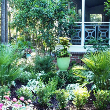 Woodland Garden