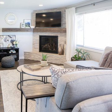 Clarkson Street Living Room + Fireplace Renovation