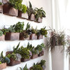 Rustic Wall Planter, Set of 12
