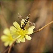 Anna Kon's photo