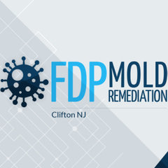 FDP Mold Remediation of Clifton
