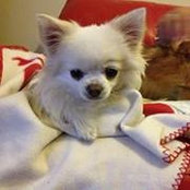 Lisa Lockhart's photo