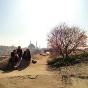 Tiphaine Js's photo