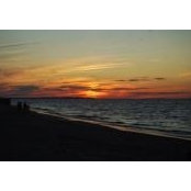 Pam Monfort's photo