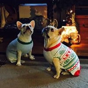 Wendy Culbreth's photo