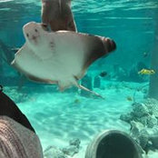 Kate Lynch's photo