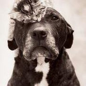 Audrey Keeton's photo