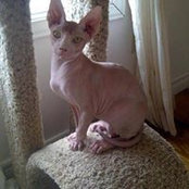Jerrie Ferguson's photo