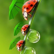 Lora Connell's photo