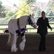 Kathleen Flanary's photo