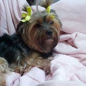 Katie Horton's photo