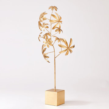 Dieffenbachia Plant, Gold Leaf