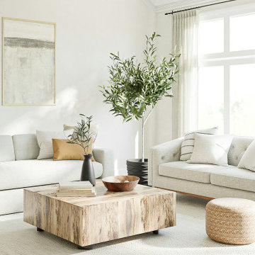 Flex Space & Living Room Remodels