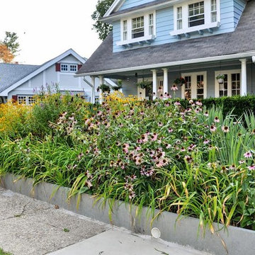 Colorful Front Border