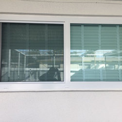 Snyder Residence in North Miami - Windows