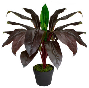 23" Red and Green Artificial Dracaena Potted Plant Home Decor