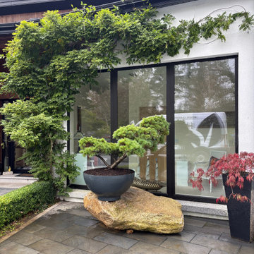 Japanese Garden Feature with Bonsai Pine and Wisteria – Contemporary Patio Desig