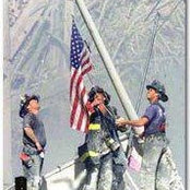 Sue Stapp's photo