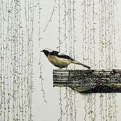 Theodora Lam's photo
