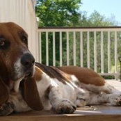 Ava Werstlein's photo