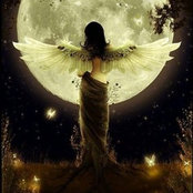 Veronica Funes's photo