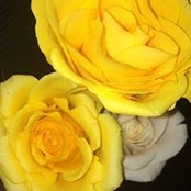Ang Wrach's photo