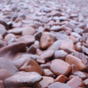Heather Dale's photo