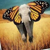 Debby Worden's photo