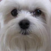 Pam Whitener's photo