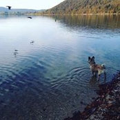 Foto von Carolane Thibault