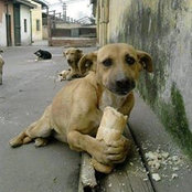 Toan Phan's photo