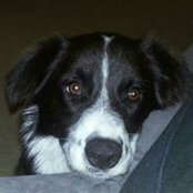 Maxine Waldburger's photo