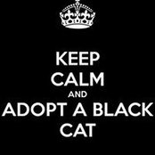 Kim Calek's photo