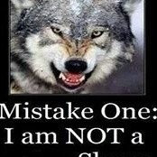Michael Vidinha's photo