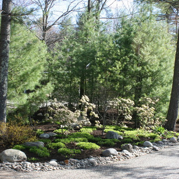 Shade Gardens