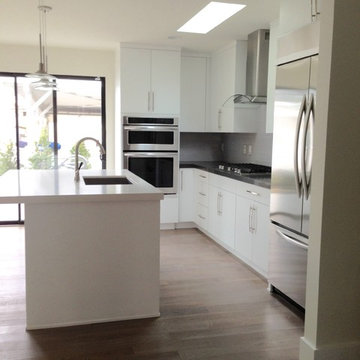 Modern Kitchen- Venice, CA Project